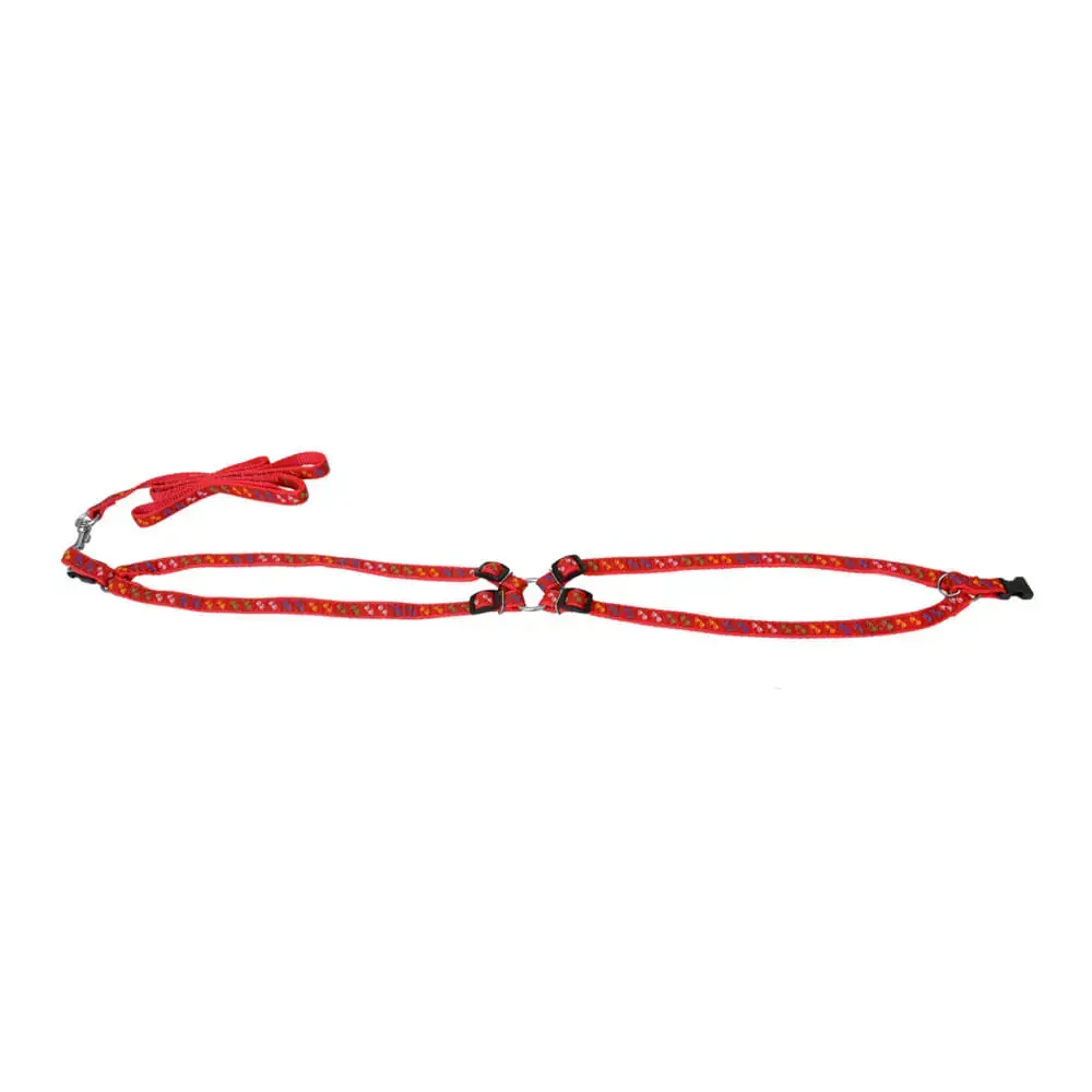 Conjunto Peitoral E Guia N 4 Estampada Vermelho 75cm São Pet