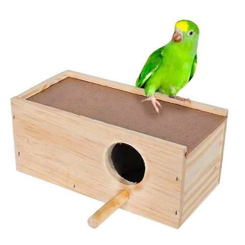 Ninho De Periquito