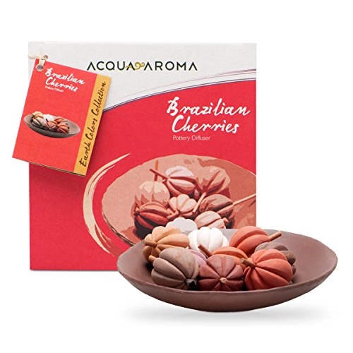 Acqua Aroma Earth Colors Collection Brazilian Cherries Pottery Diffuser