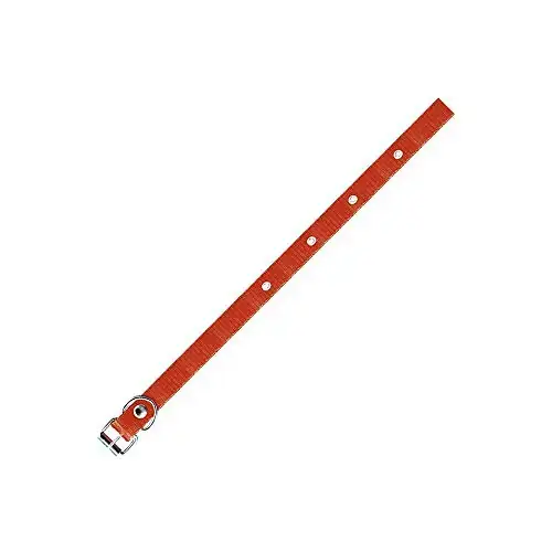 Coleira Seda Furacao Pet Simples N02 15mm