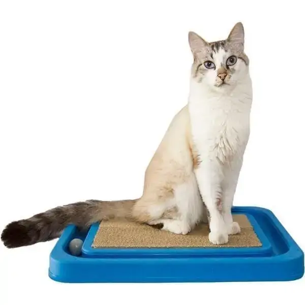 Cat Relax Furacão Pet Azul Grande