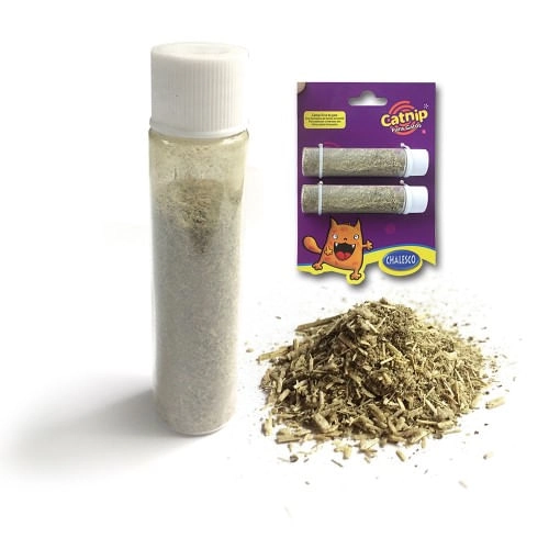 Catnip Chalesco Erva Para Gatos