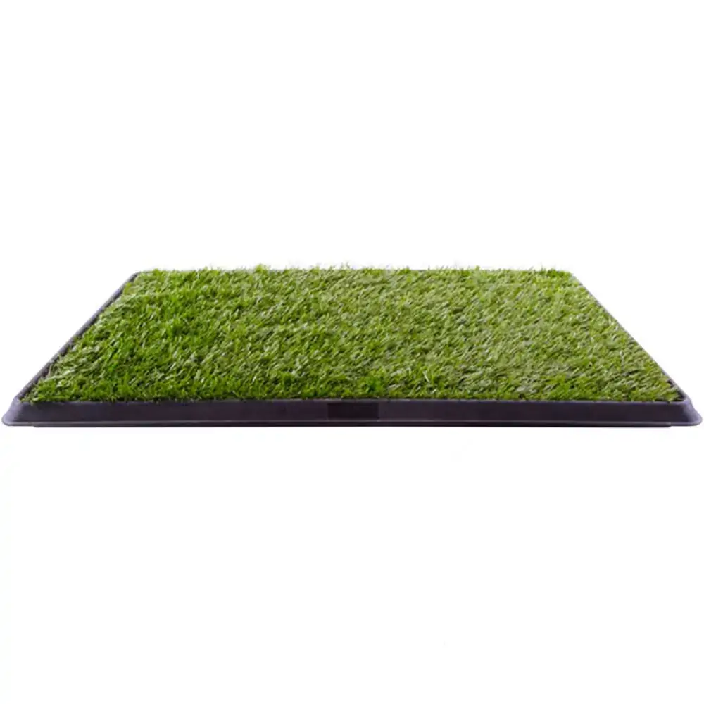 Banheiro Pet Park Chalesco Para Cães