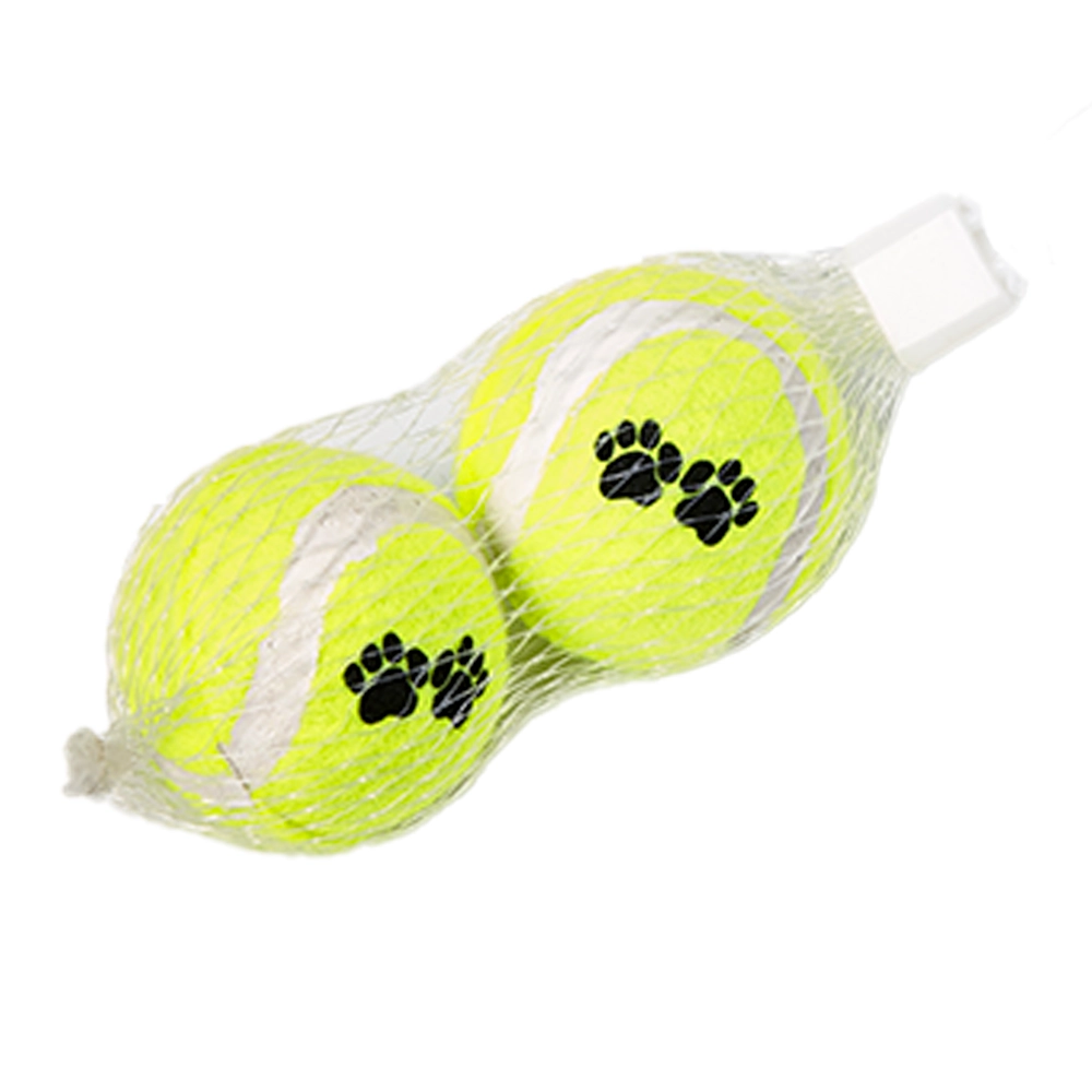 Brinquedo Bola Tenis C/2