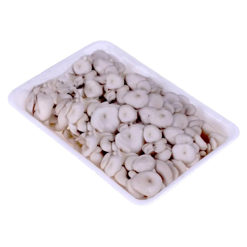 Legumes Fazendas Finencio Quiabo