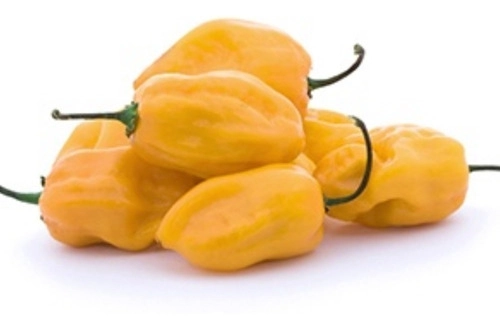 Pimenta Habanero Amarela Hortifruta 110g