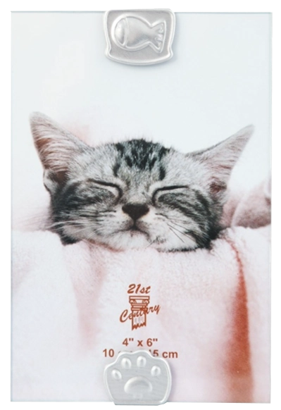 Porta Retrato Gato Peixe 10x15cm Sci 324 Square
