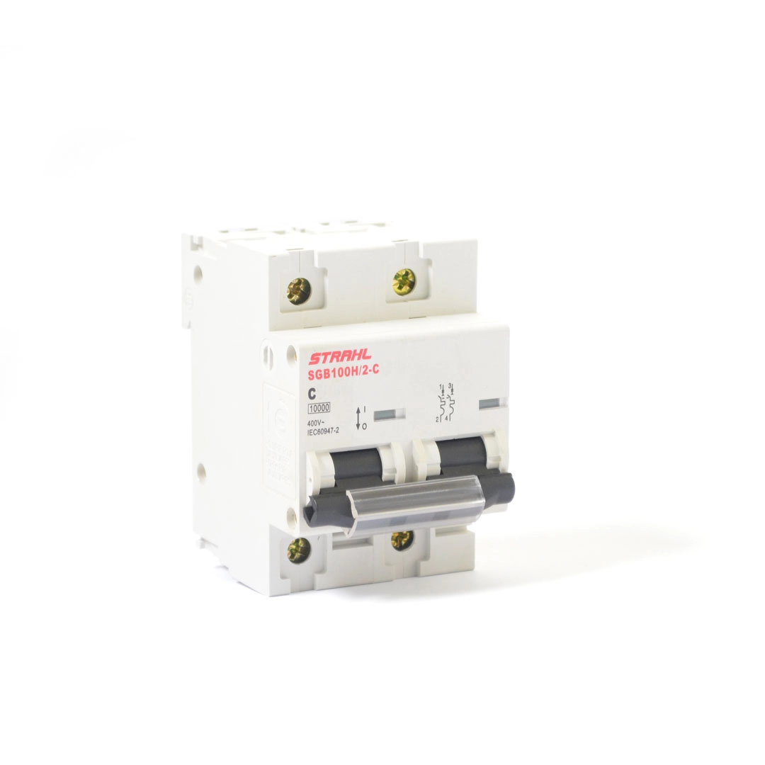 Disjuntor Bipolar Padrão Din 100a 10ka Curva C Strahl