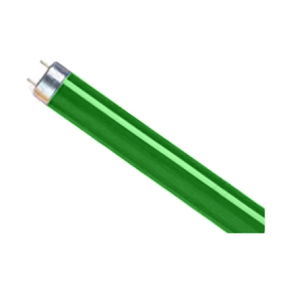Lâmpada Fluorescente 20w 600mm T8 Verde Glight 9535