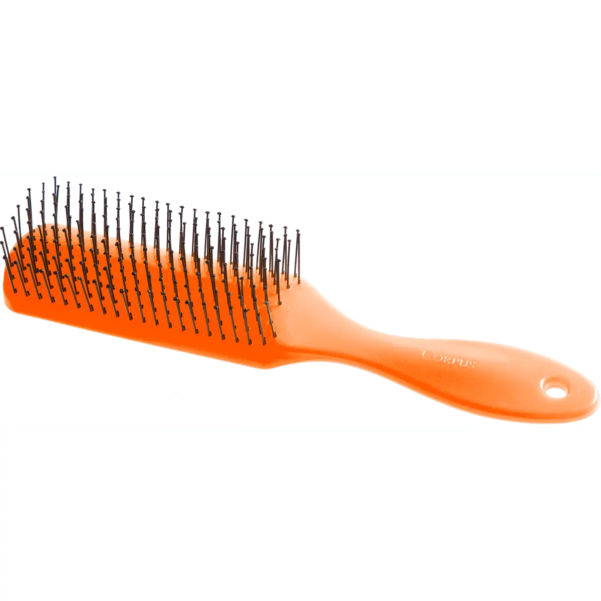 Esc Cabelo Corpus Flexivel All Day Plastica