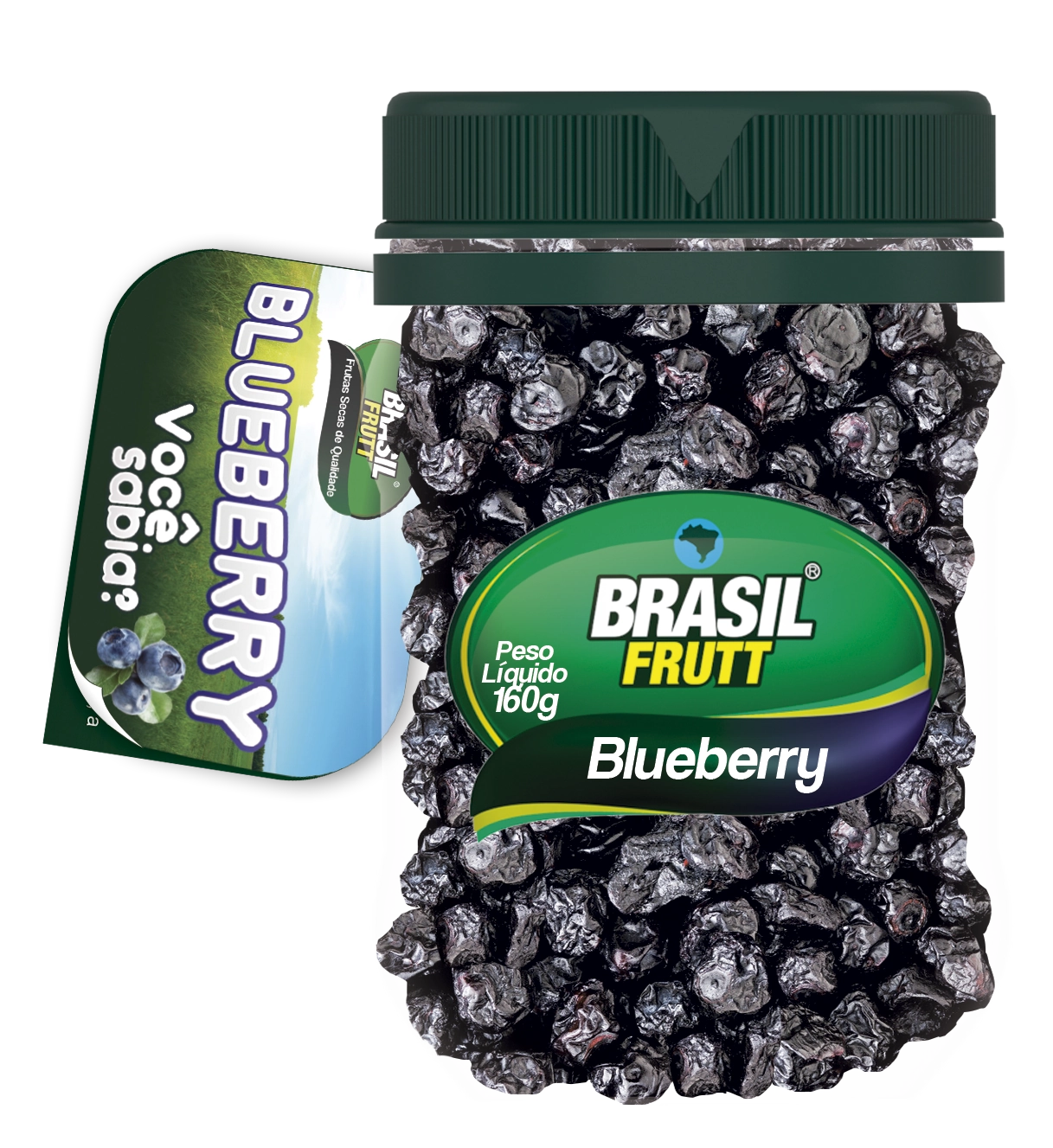 Blueberry Desidratado 160gr