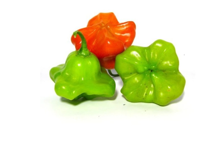 Sac Pimenta De Cheiro Bd 100gr