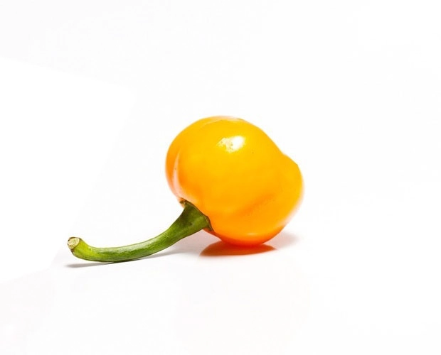 Sac Pimenta Bode Amarela Bd 100gr
