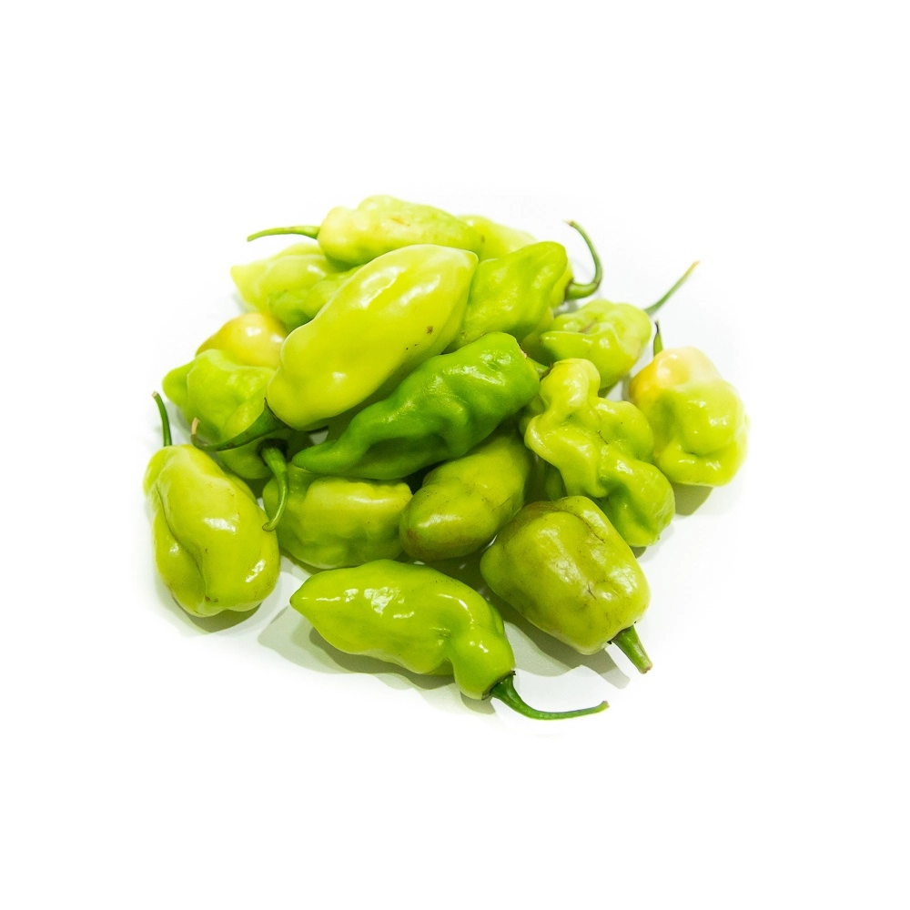 Sac Pimenta Cheiro Doce Bd 100gr