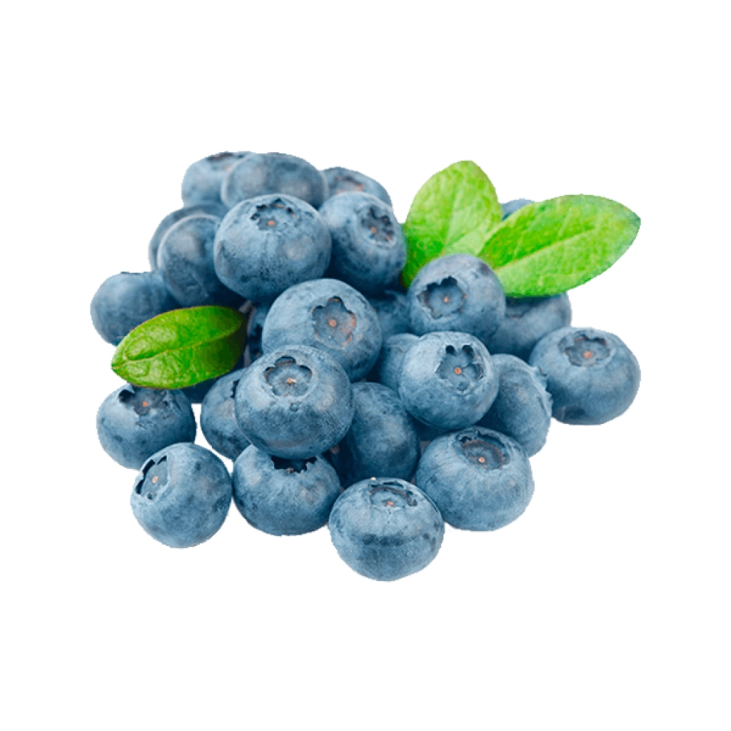 Fn Mirtillo Blueberries 100gr