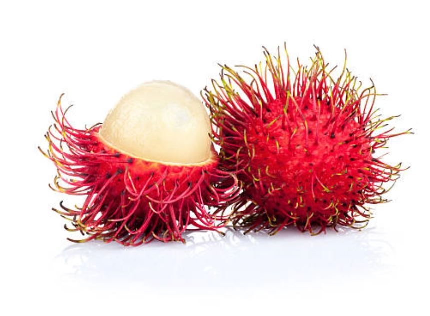 Fn Rambutan Bd