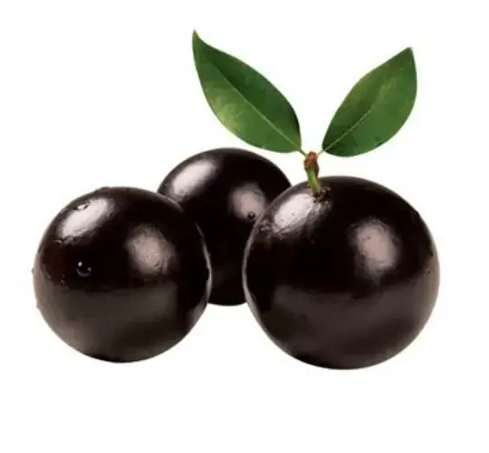 Fn Jabuticaba Cxt 1kg