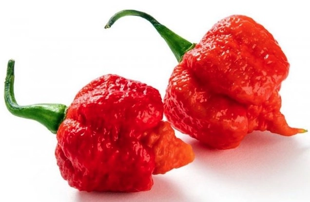 Sac Pimenta Carolina Reaper Bd 100gr