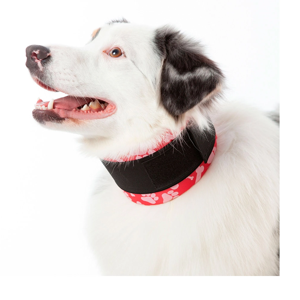 Colar Cervical Pet Med 2