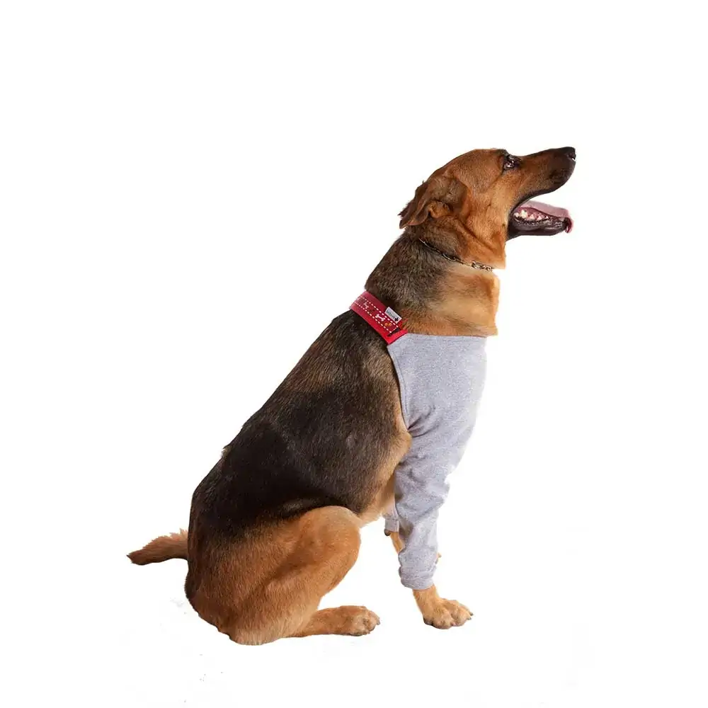 Roupa Protetora De Membros Anteriores Pet Med Para Cães