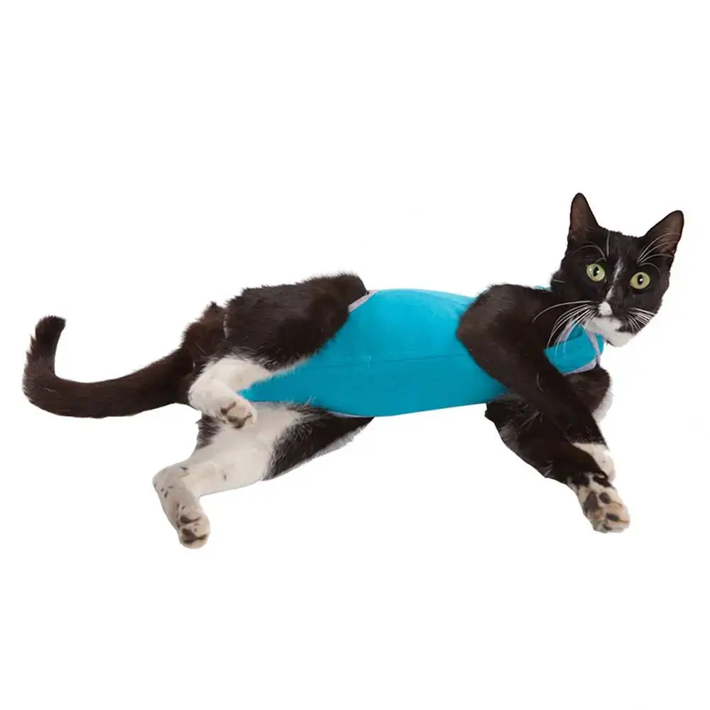 Roupa Cirurgica Turquesa Gato 0