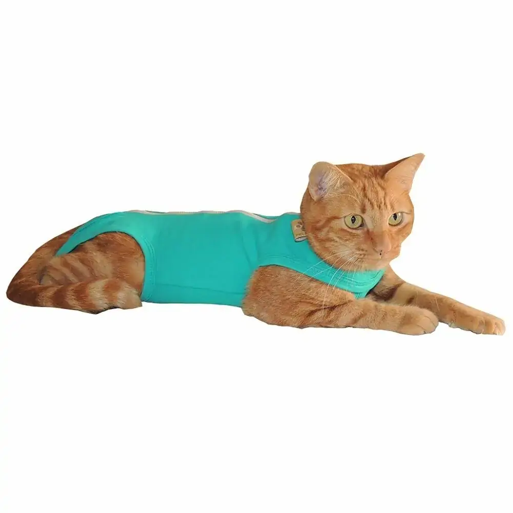Roupa Cirurgica Turquesa Gato 04