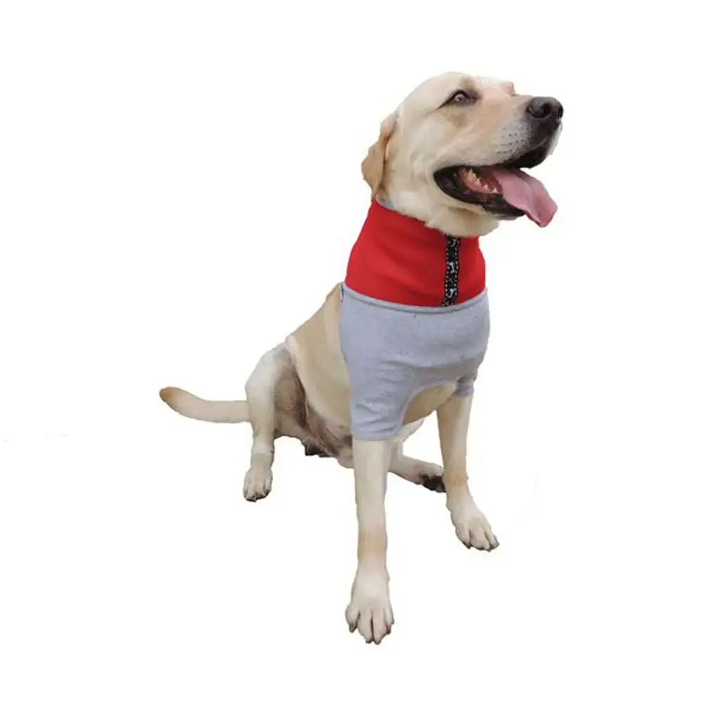 Cachorrel N8