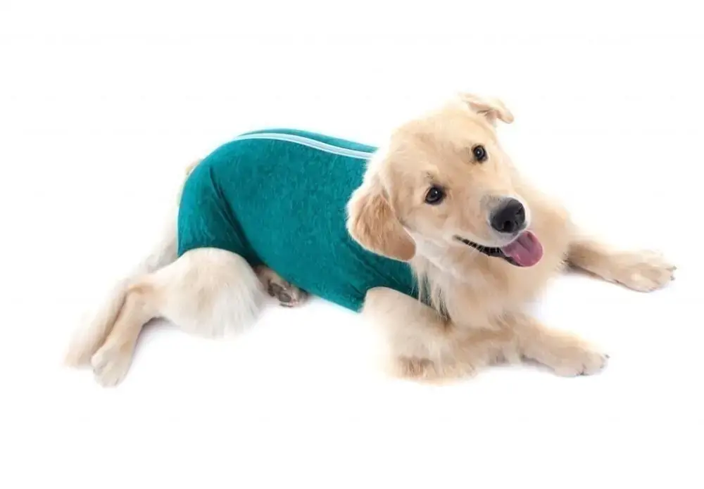 Rpc Regular Dry Comfort 02 Verde Fl