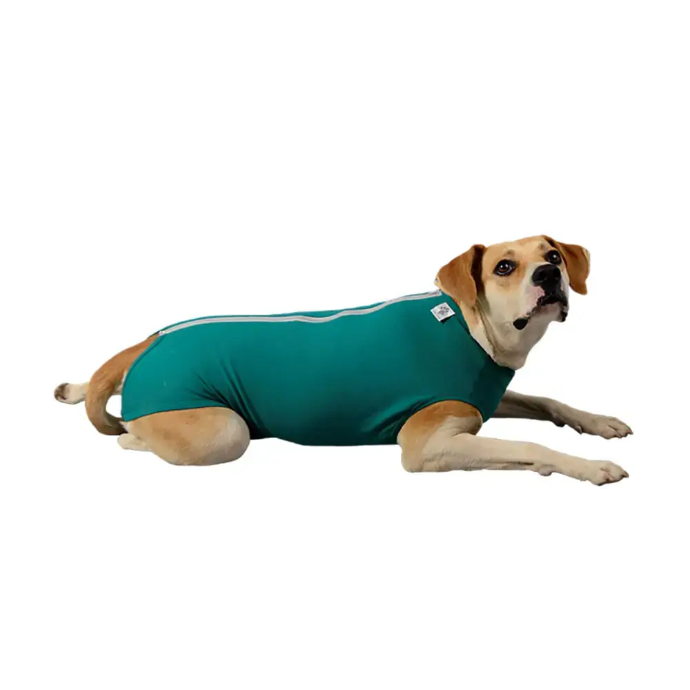 Rpc Regular Dry Comfort Verde Mescla 10
