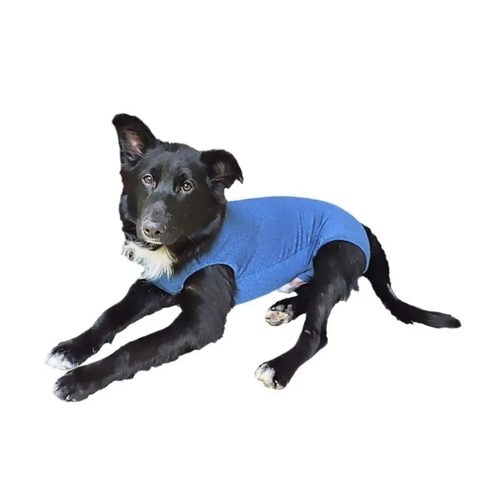 Rpc Cast Macho Dry Comfort Azul 00
