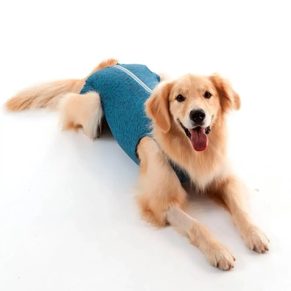 Fl Rp.cirurg.petmed Castracao Macho T.06