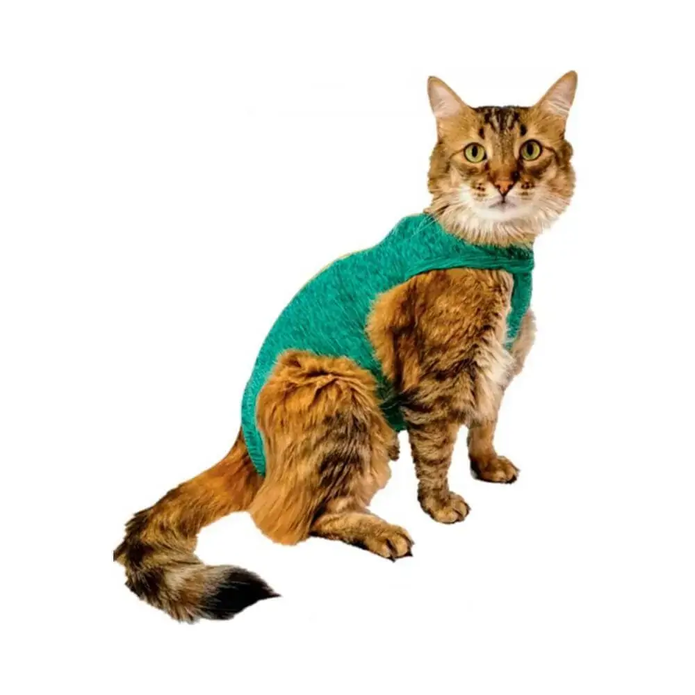 Rpc Gato Dry Comfort 04 Verde Fl