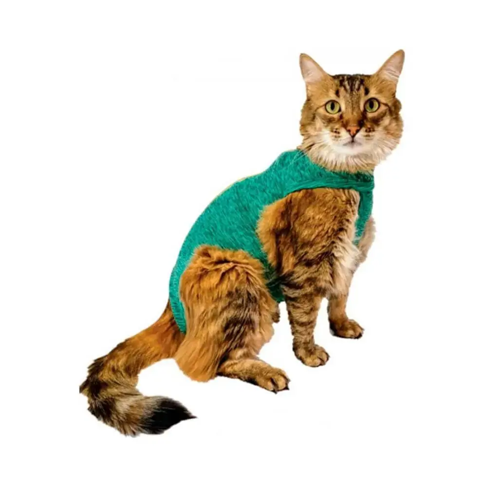 Rpc Gato Dry Comfort Verde 05