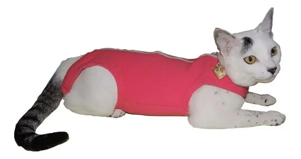 Rpc Gato Dry Comfort Rosa 03