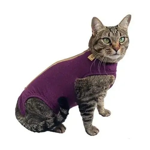 Rpc Gato Dry Comfort Rosa 04