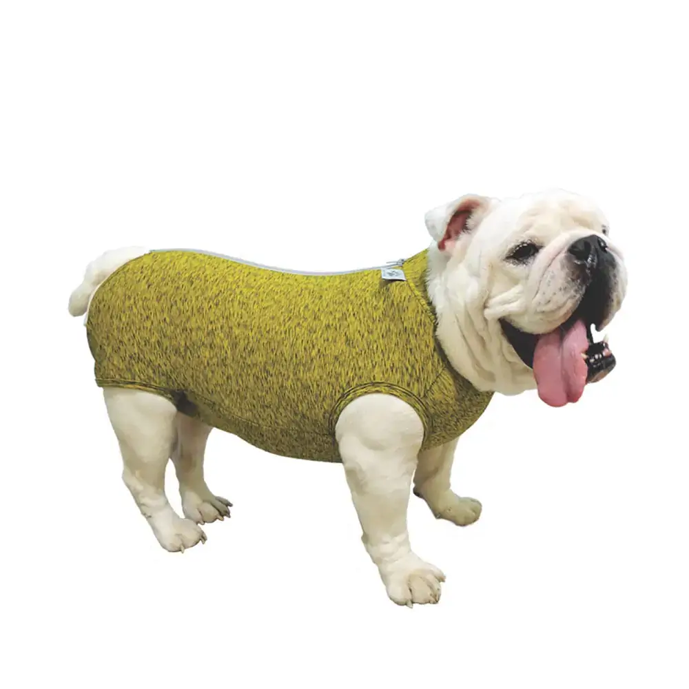 Rpc Fit Racas Dry Buldogue Ingles M