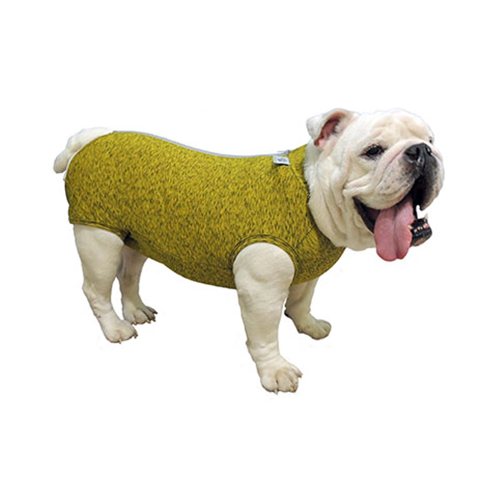 Rpc Fit Racas Dry Buldogue Ingles G