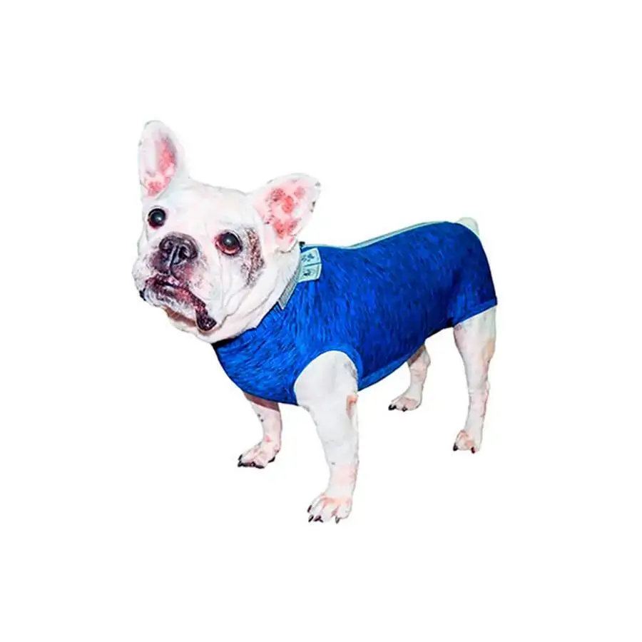 Rpc Cast Fit Dry Buldogue Frances Pp