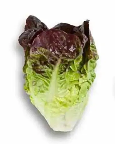 Alface Mini Romana Roxa Org Solo Vivo 150g