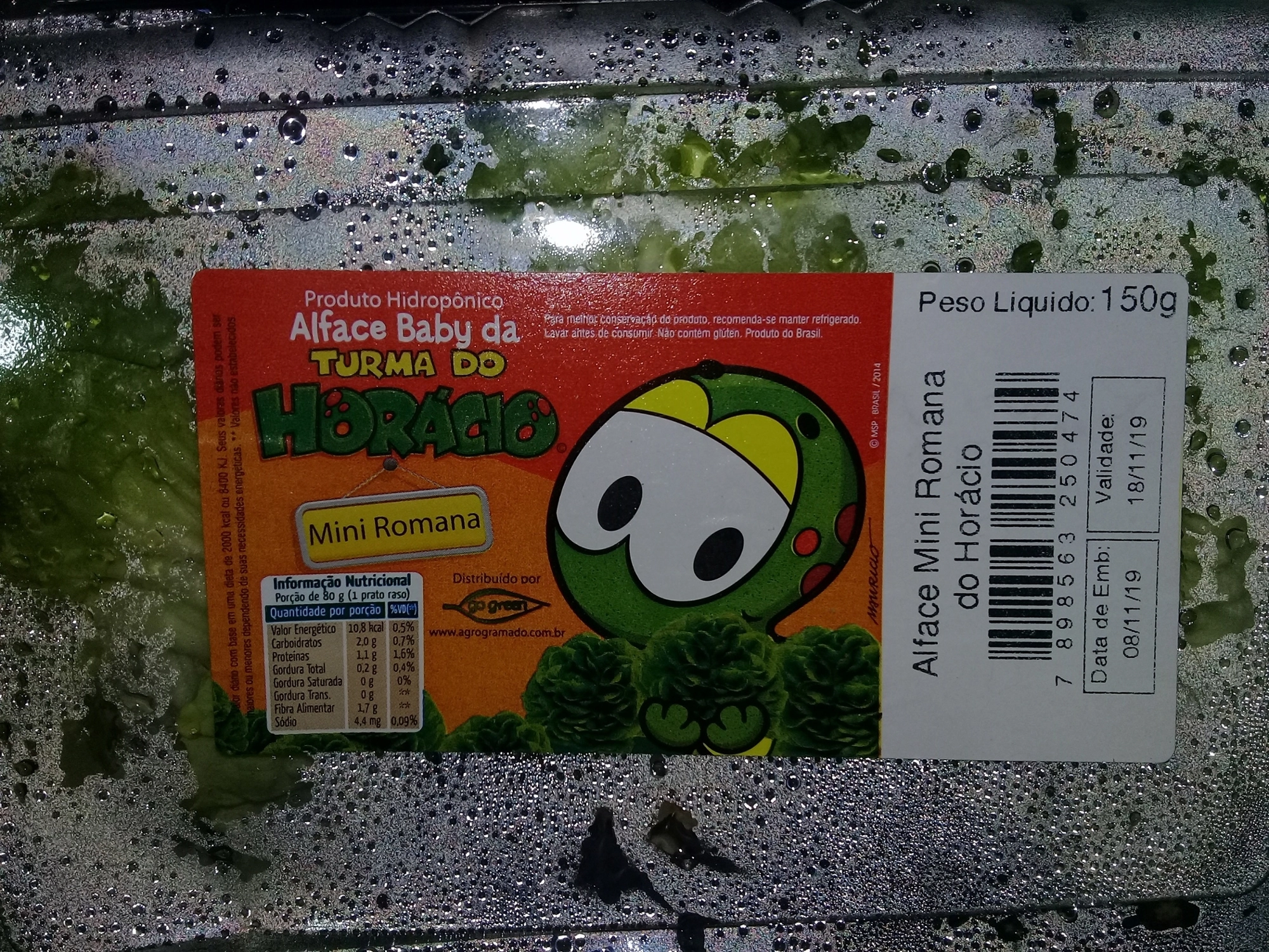 Na Alface Mini Romana Hidroponica