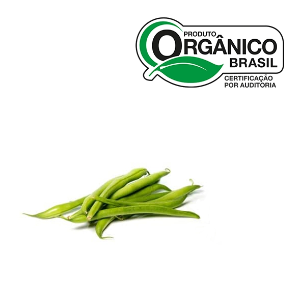 Vagem Macarrao Organico Go Green
