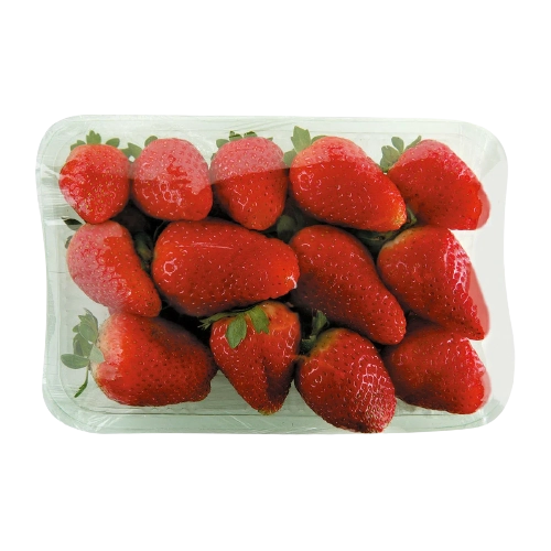 Morango Organico Bandeja