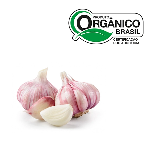 Alho Organico 150g Bee Organic