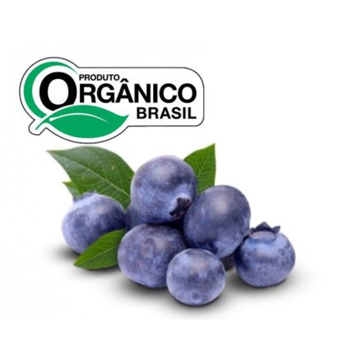 Mirtilo Blueberry Org Bee Organic 100g