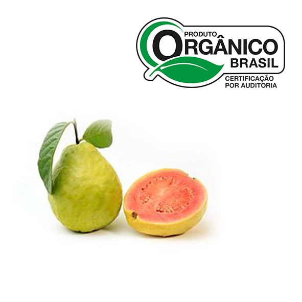 Org Goiaba Vermelha Org Go Green 400gr