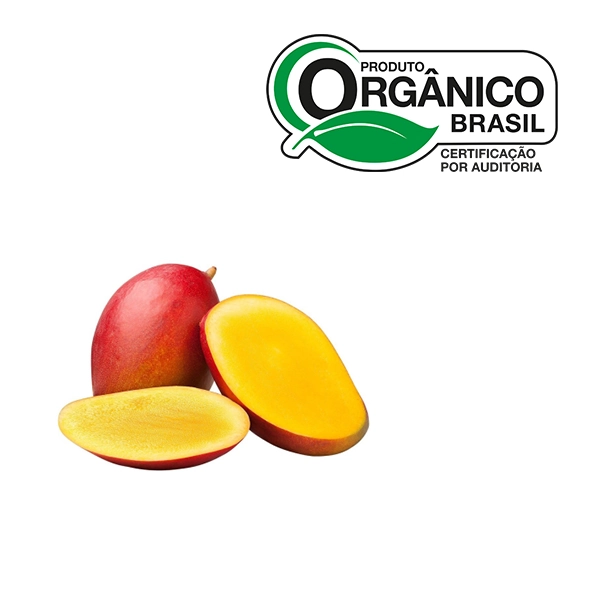 Org Manga Palmer Org 800gr Go Green