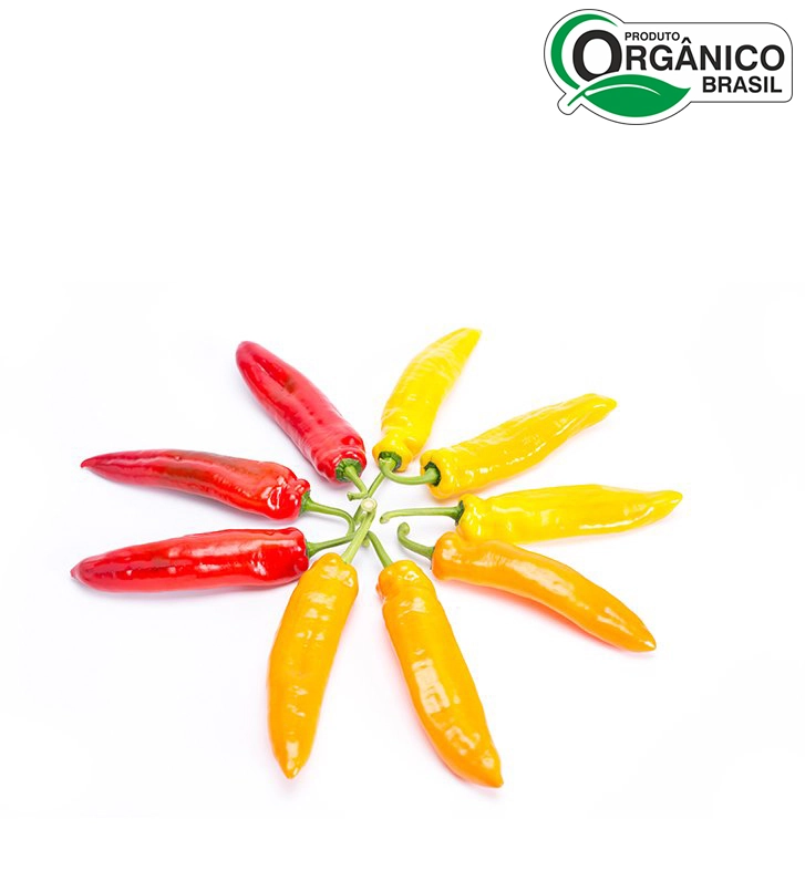 Sac Pimentao Palermo Org 350g Go Green