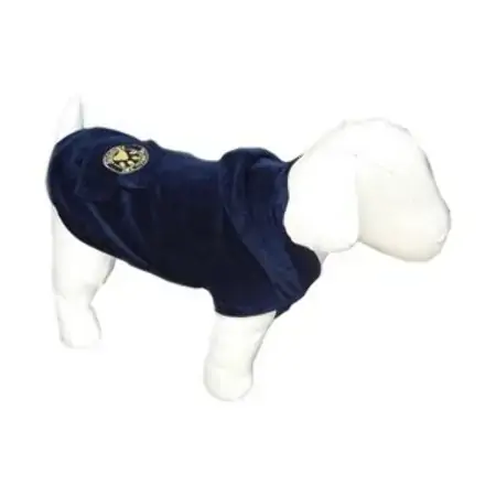 Blusa Com Capuz Plush Azul