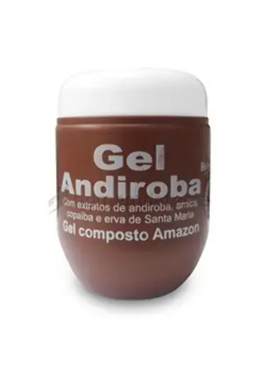 Gel Andiroba Com Copaíba E Erva De Santa Maria Bio Instinto 240g