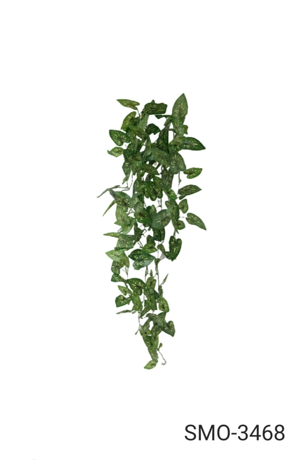 Buque Folhas Verde X144 Smo 3468 Smo